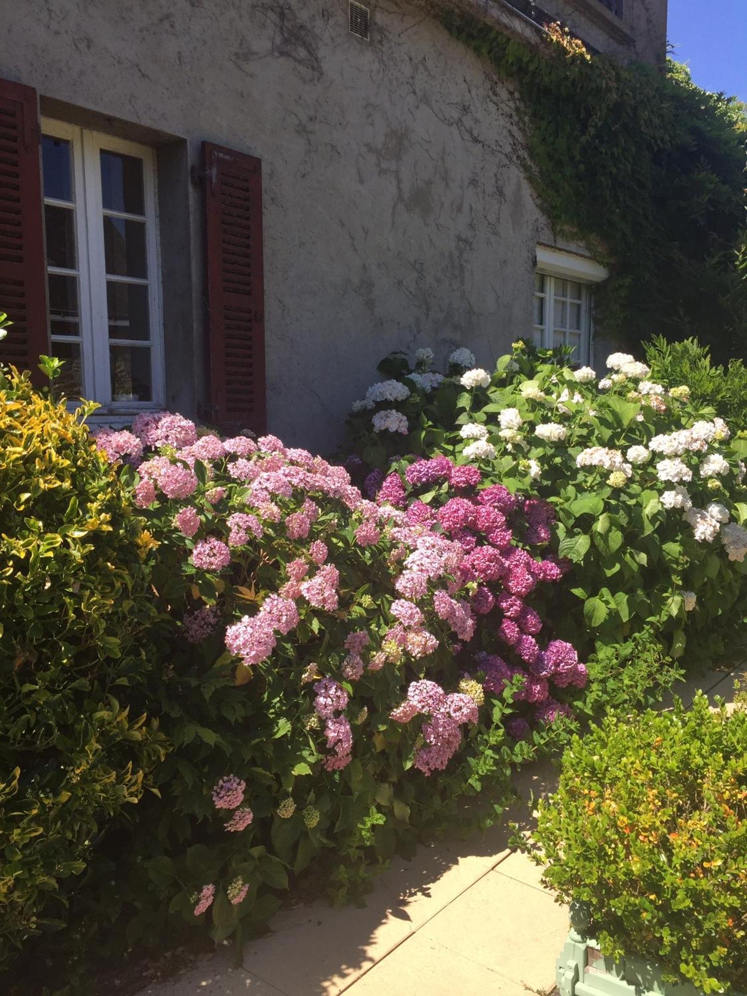 Chez Beatrice Daire Herbignac Dış mekan fotoğraf